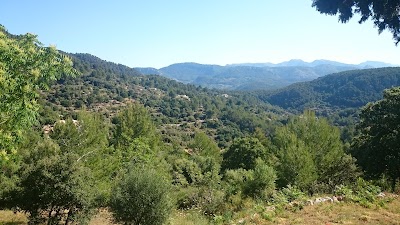 Photos of Магнит