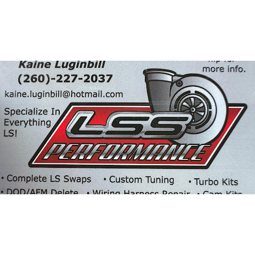 LSS Performance - Visual