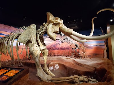 Nevada State Museum