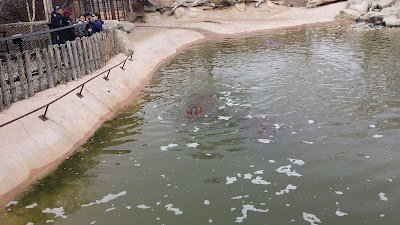 Photos of ABQ BioPark