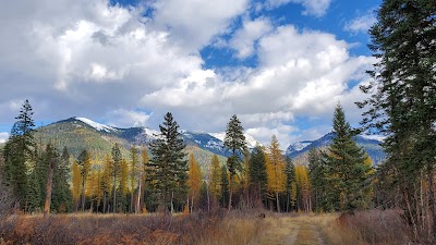 Flathead National Forest