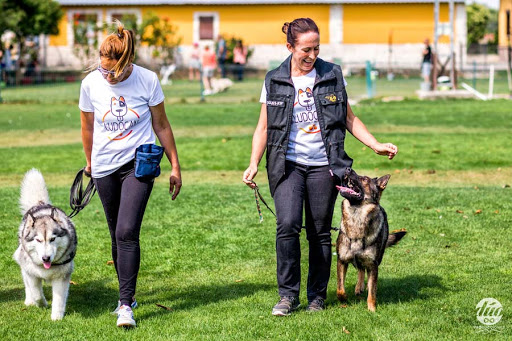 Hotel para perros Residencia Canina CísterCan | Adiestramiento canino