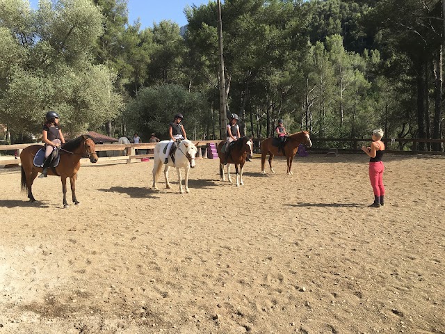 LE PADDOCK