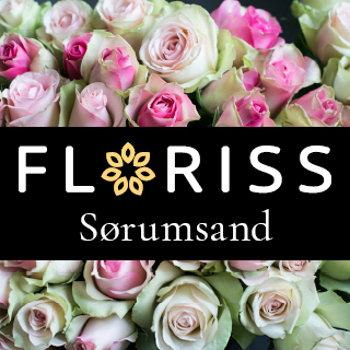 Floriss Sørumsand