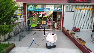 Bykuş Petshop