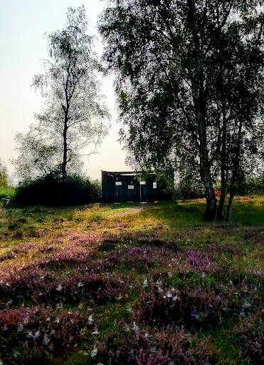 Haaksbergerveen - Vogelkijkscherm - Thumbnail