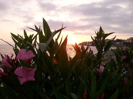 Holiday Beach Sas Di Crusco & C. - Thumbnail