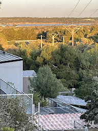 Photo n°4 de Elevage of muma à Caves (Éleveur)