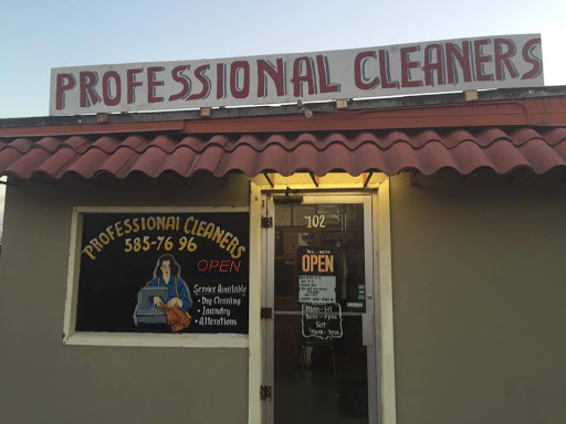 Professional Cleaners - Visual