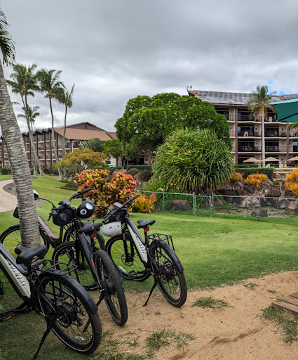 Kauai E-Bikes - Thumbnail