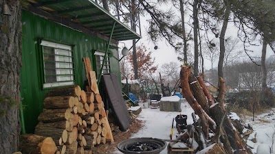 Photos of 청정골한국상황버섯농장