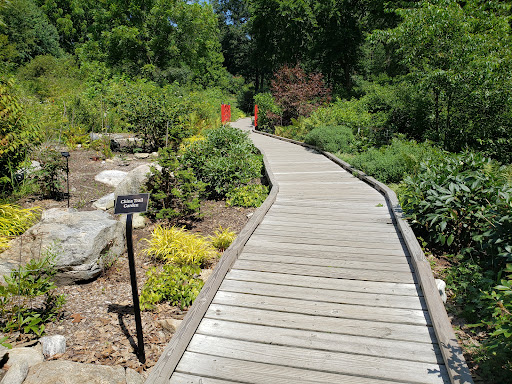 Acton Arboretum - Thumbnail