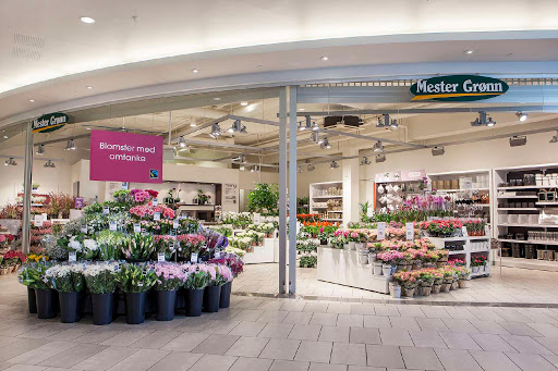 Mester Grønn Sartorparken