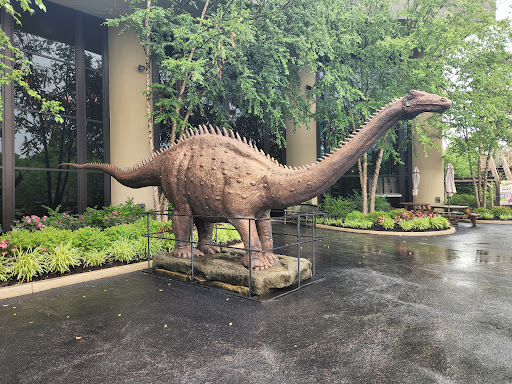 Creation Museum - Visual