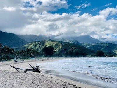 Hanalei Honu Hale