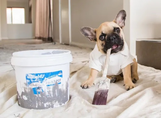 TJL Painting Contractors - Thumbnail