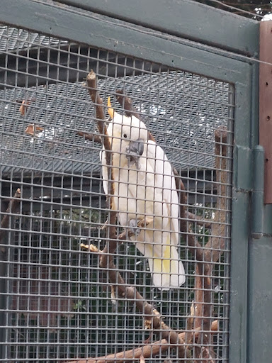 Vogelvolieren Gallery - Germany