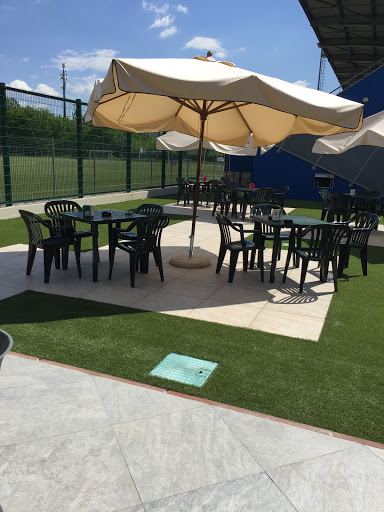 Bar Field - Visual