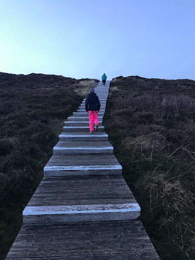 Weg durch die Dünenlandschaft - Thumbnail