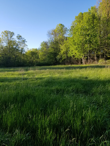 Firestone Metro Park, Parking Lot