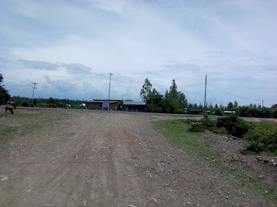 Photos of KOGUTU STAGE