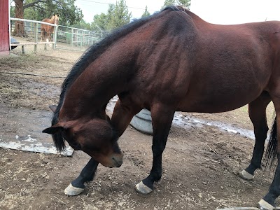 The Red Horse Riding School