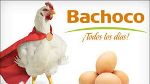 Bachoco Hidalgo - Thumbnail