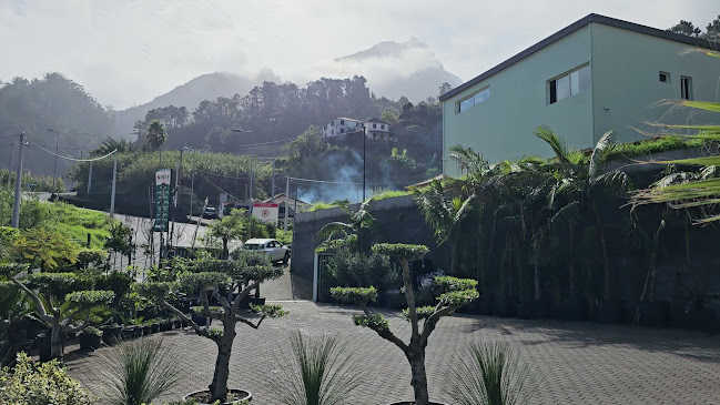 Avaliações doNorth Gardens em São Vicente - Jardinagem