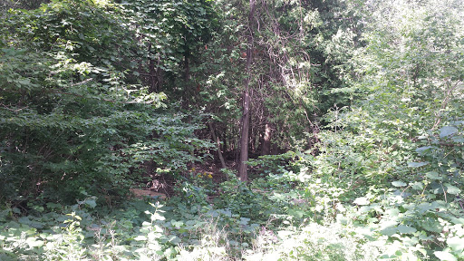 Raybeck Park - Thumbnail