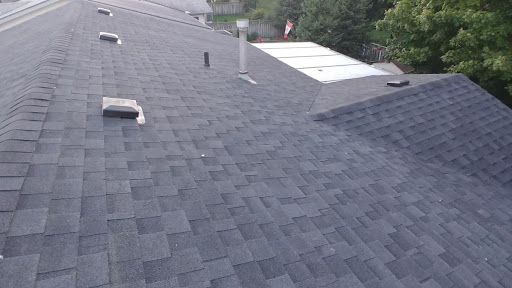 Newf's on Roofs