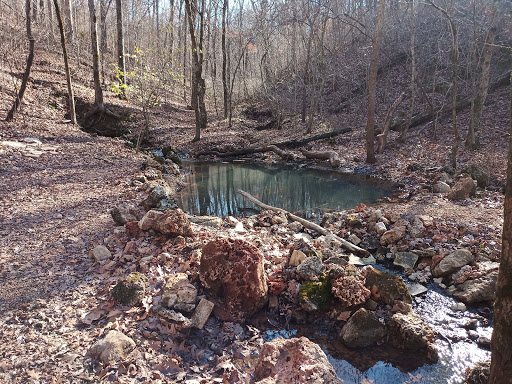 Rattlesnake spring - Visual