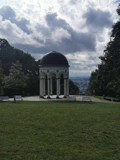 Altaneiche - Visual