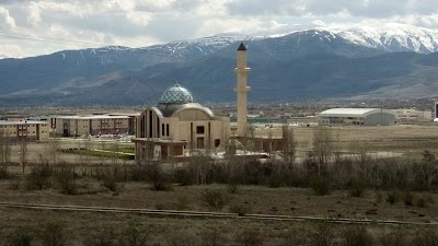 Erzincan üniversitesi camii