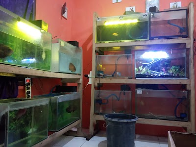 Irfan Aquarium