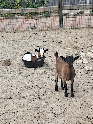 Photo n°12 de UCPA SPORT LOISIRS BRY SUR MARNE à Bry-sur-Marne (Club d'équitation)