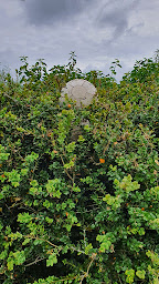 Photo n°2 de Destruction nids de guêpes et frelons 27 28 76 78 à Marcilly-la-Campagne (Service d'extermination des nuisibles)