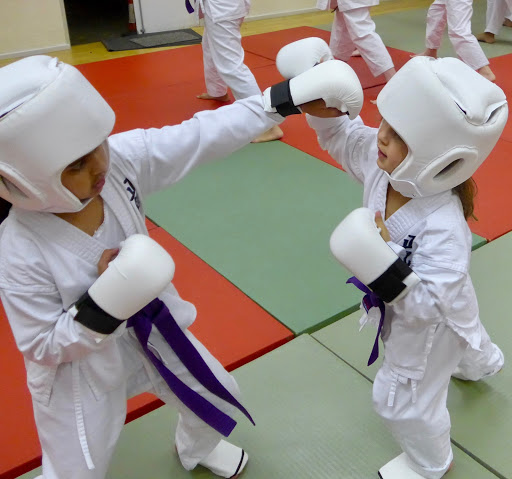 Shoden Martial arts & fitness Gallery - United Kingdom