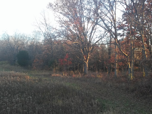 Cedar Lake Wetland Conservation Area - Thumbnail