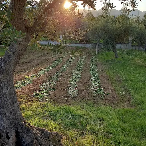 L' Aroma del Benessere - Thumbnail