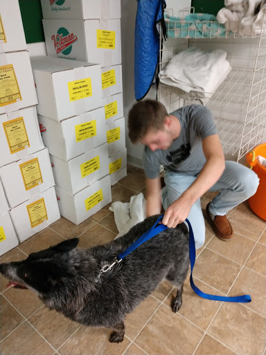 Valley Springs Feed & Pet Supply - Thumbnail