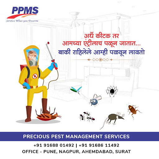 Call us for safe and eco-friendly pest control service. post image