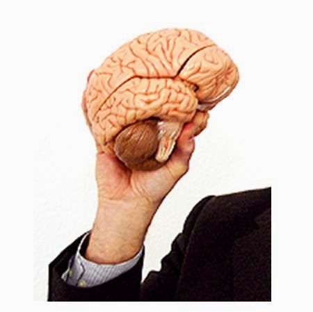 brain-books - Visual