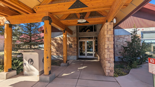Alpine Public Library - Visual