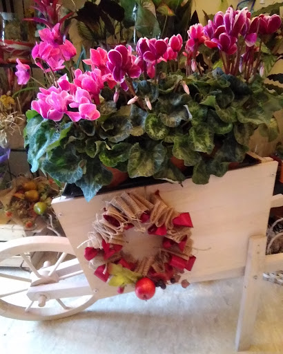 Gioielleria & Thun shop - Sant'Angelo dei Lombardi - Thumbnail