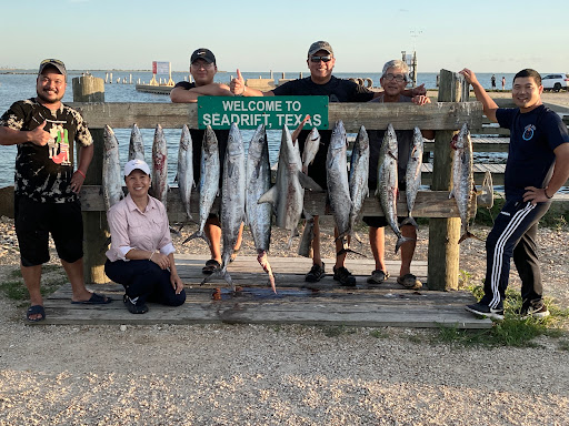 Dockside Bait - Visual