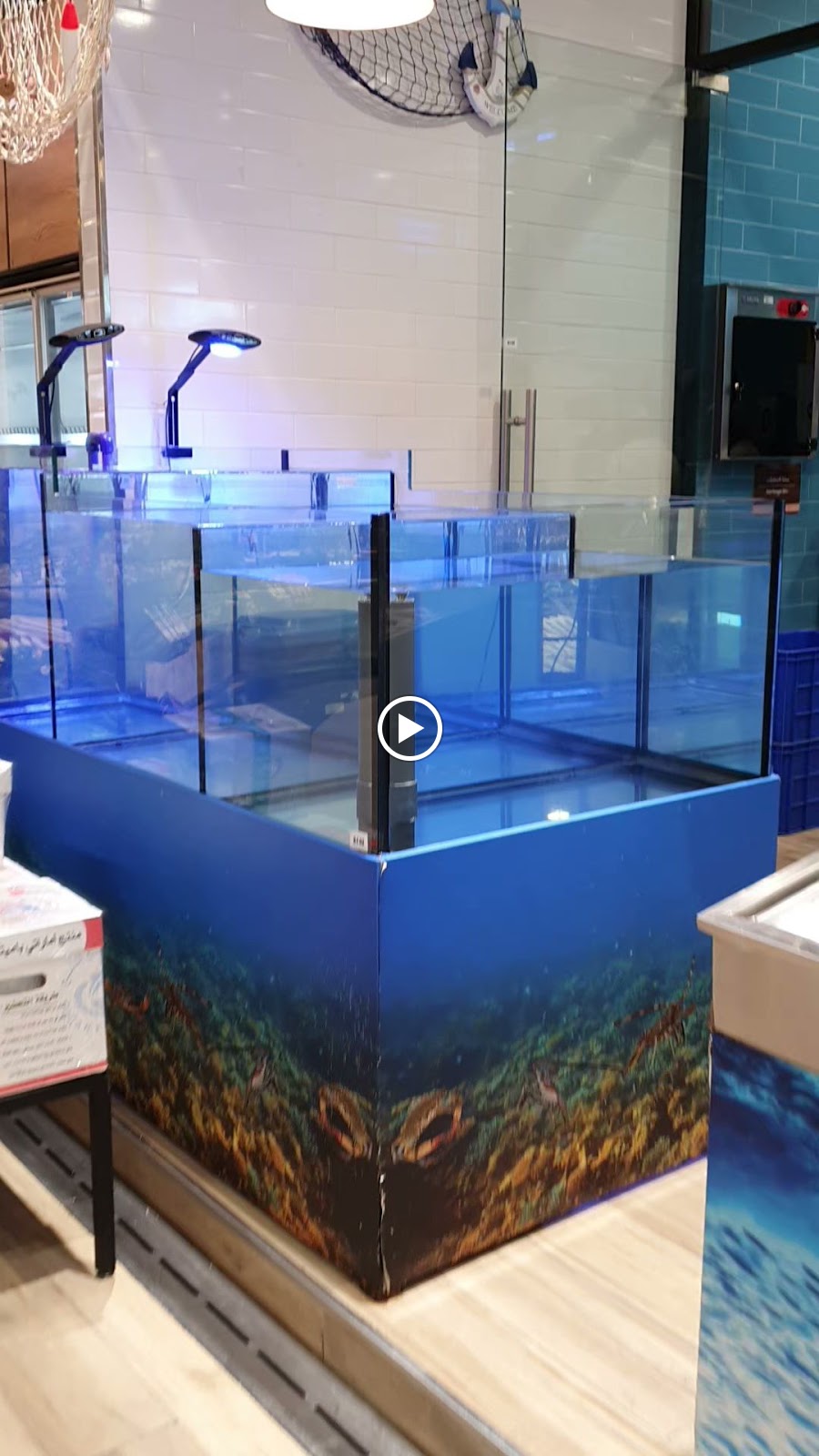FishTank - صورة 2