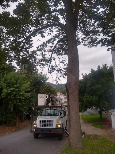RC Tree Services – A Division of AOS