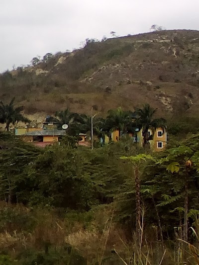 Photos of Palmera Real