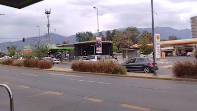 Photos of Francisco Bilbao