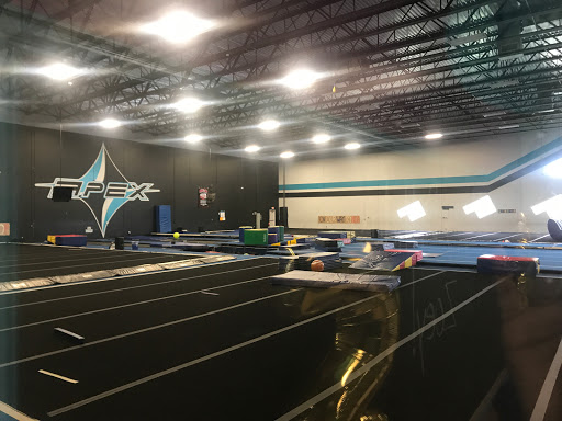 APEX Cheer & Athletics - Thumbnail